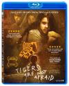 Omslag av Tigers Are Not Afraid (Blu-ray)